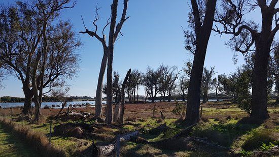Ludlow Tuart Forest